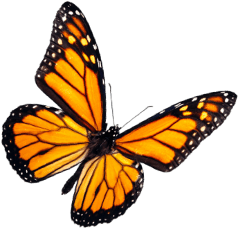 Microfiber Live Inventory – Monarch Brands